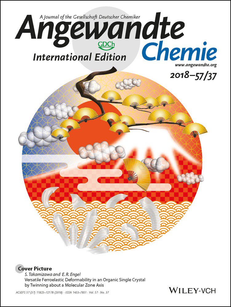 Enantioselective α‐Benzylation of Acyclic Esters Using π‐Extended Electrophiles