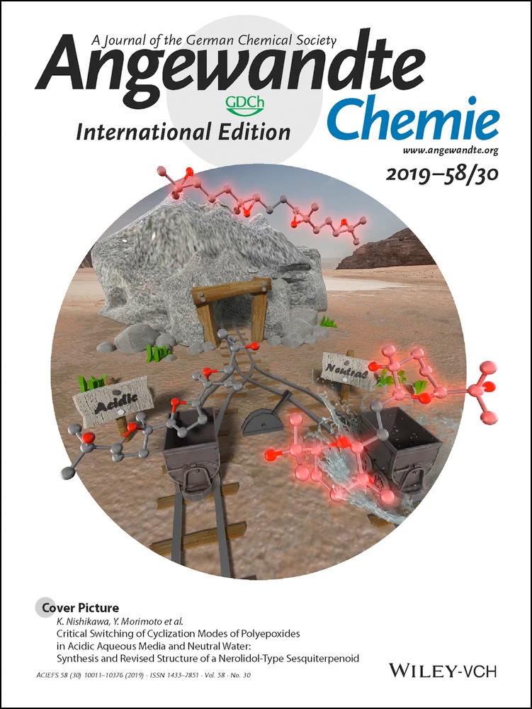 A Regio‐ and Stereodivergent Synthesis of Homoallylic Amines by a One‐Pot Cooperative‐Catalysis‐Based Allylic Alkylation/Hofmann Rearrangement Strategy