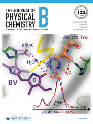 A Comparative Study of High-Contrast Fluorescence Lifetime Probes for Imaging Amyloid in Tissue