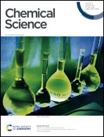 ThX – A Superior Amyloid Probe for the Early Detection of Amyloid Aggregates