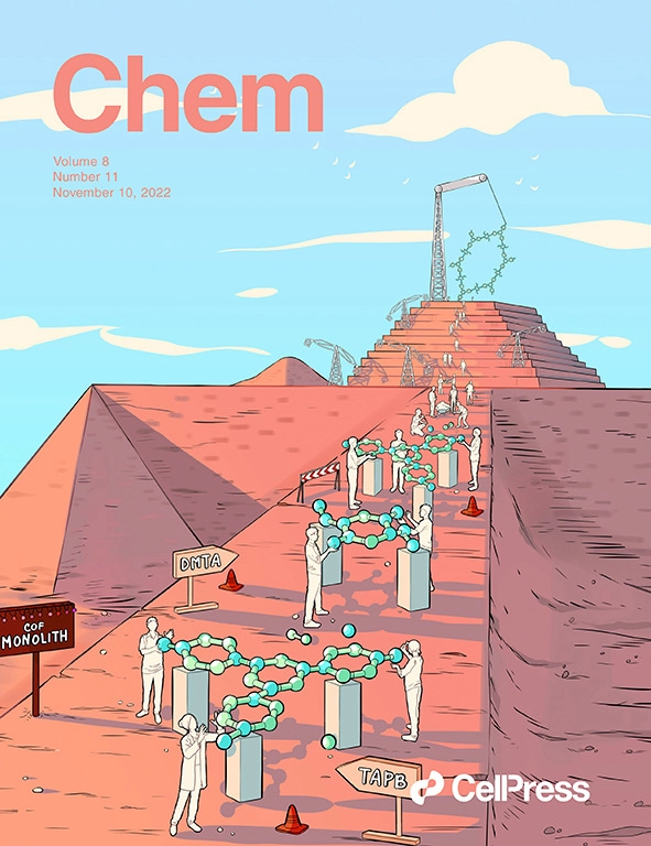 Stereodivergent Union of Esters and Dienes via Cooperative Lewis Base/Palladium Catalysis