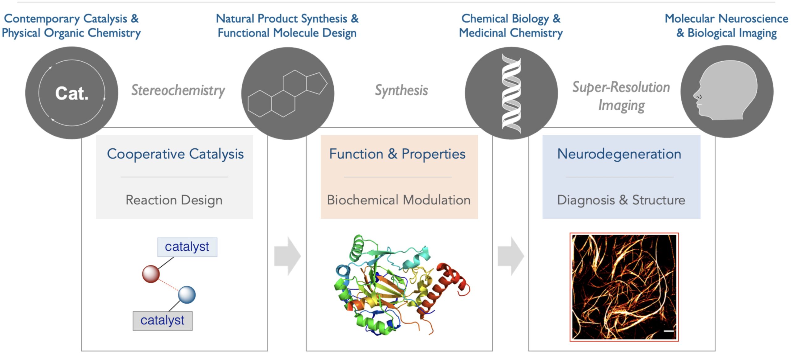 Image depicting the various types of research performed by the snaddon group